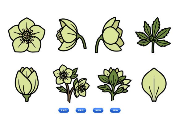 Hand Drawn Botanical Flower Clipart: A Timeless Design Element for Modern Creative Workflows